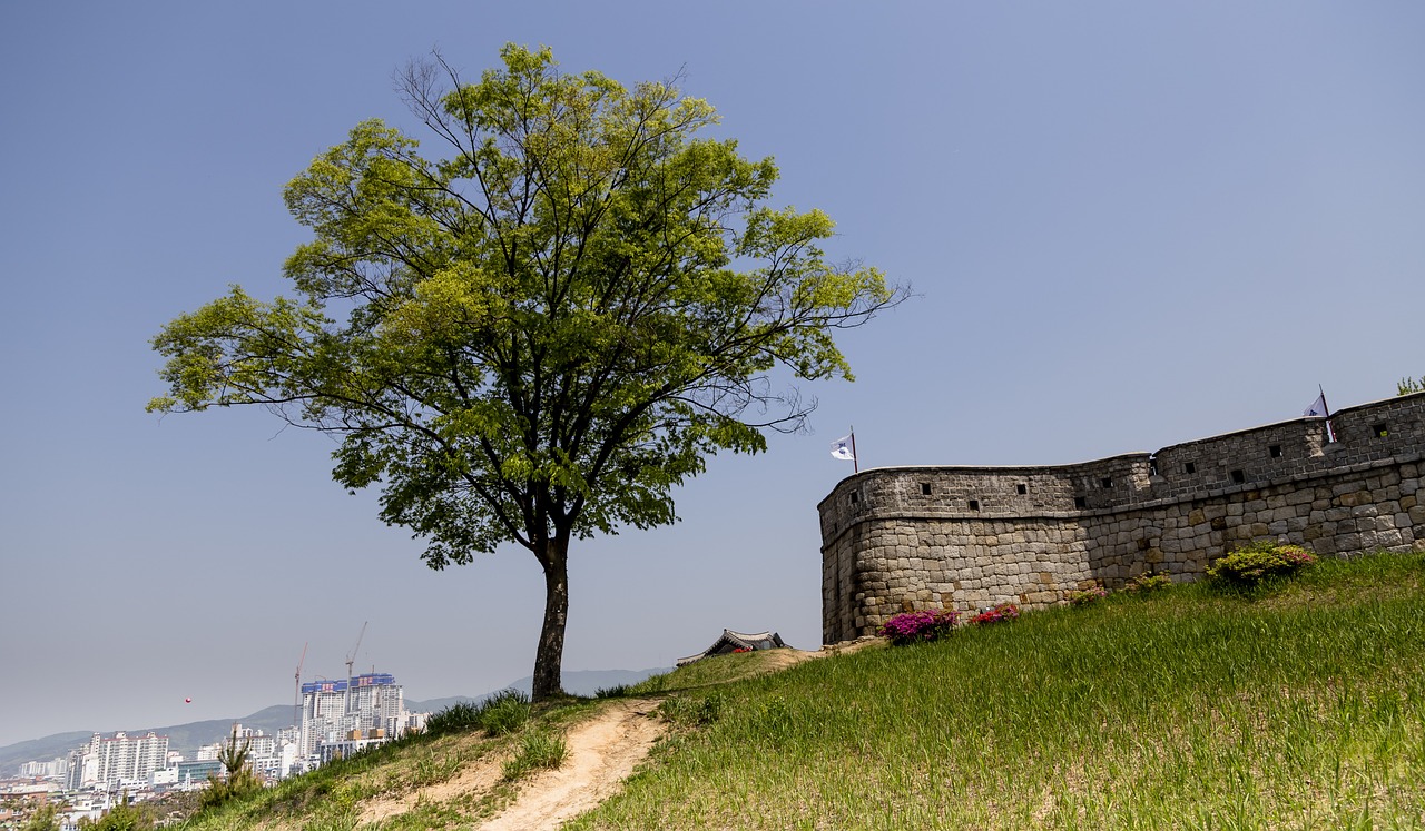 수원 휠도색